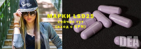 мет Алексин