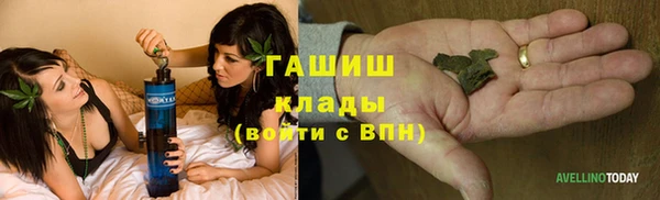 мет Алексин