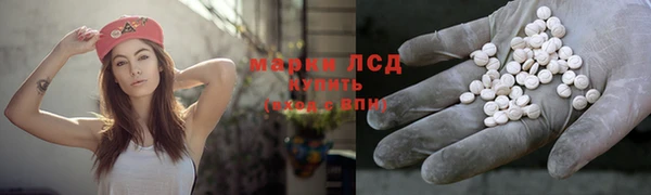 мет Алексин