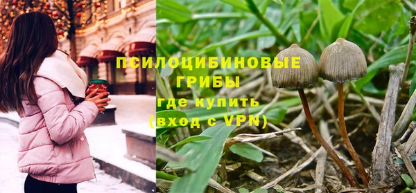 каннабис Алексеевка