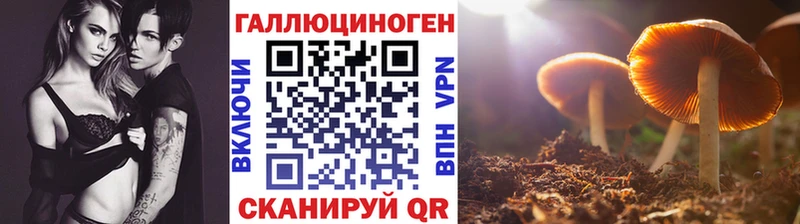 что такое наркотик  Находка  Галлюциногенные грибы мухоморы 