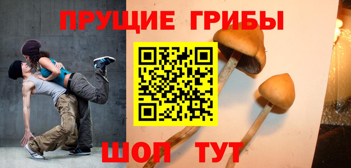 Галлюциногенные грибы Psilocybine cubensis  Галлюциногенные грибы Cubensis  Находка  Вход с VPN 