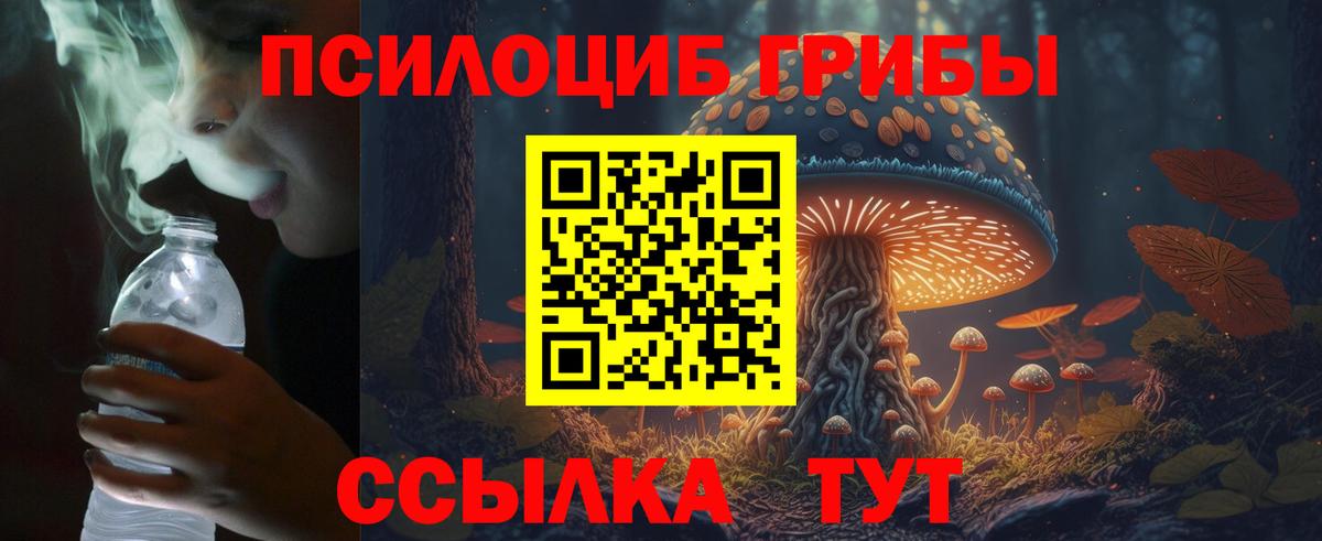 Галлюциногенные грибы MAGIC MUSHROOMS Находка
